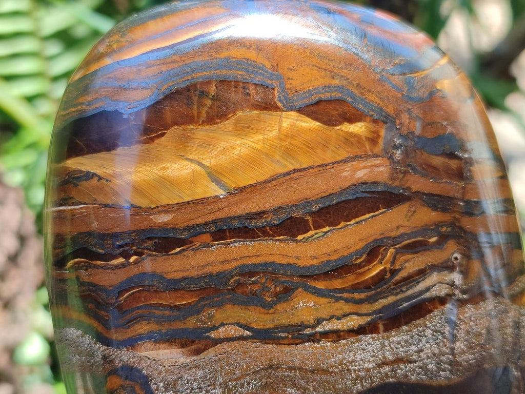 Polished Golden Tigers Eye With Banded Iron Stone Standing Free Forms x 2 From Prieska, South Africa