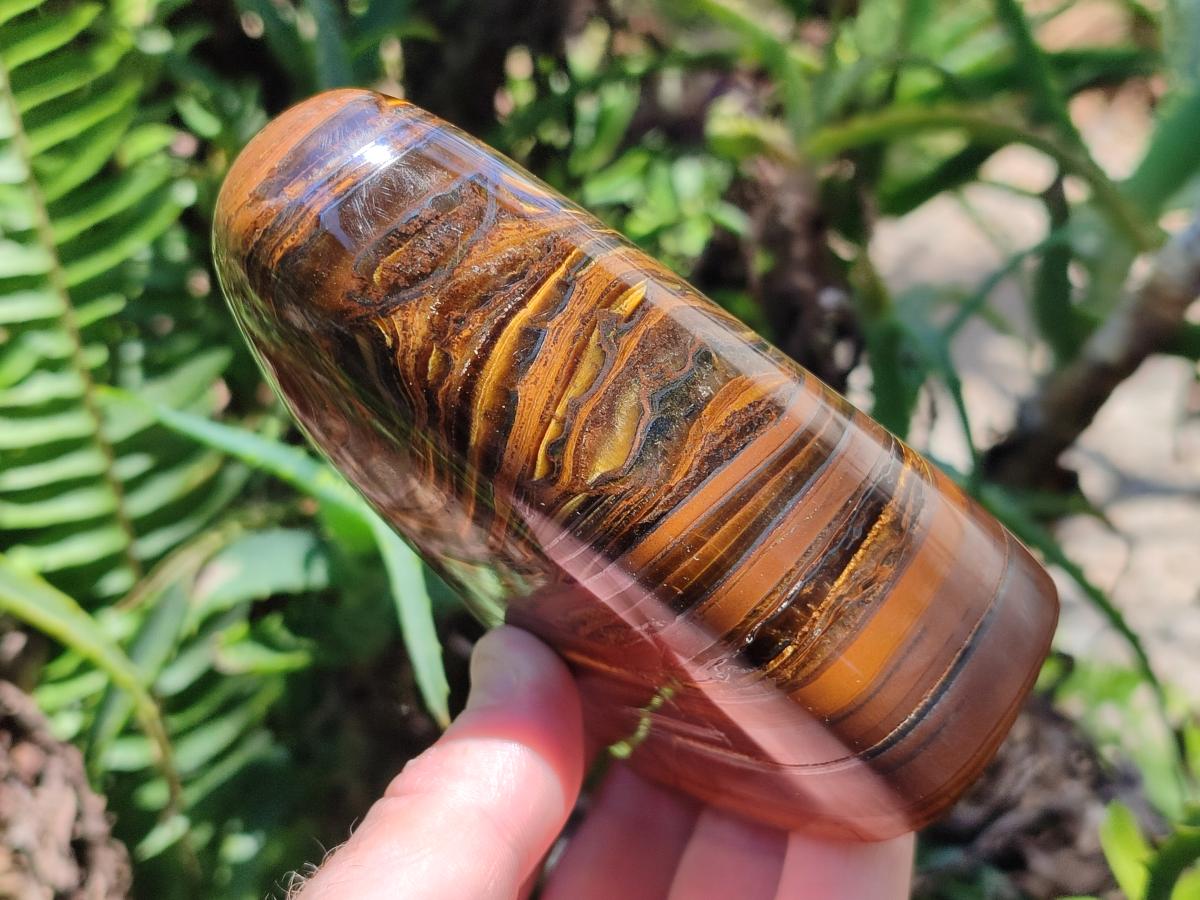 Polished Golden Tigers Eye With Banded Iron Stone Standing Free Forms x 2 From Prieska, South Africa
