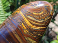 Polished Golden Tigers Eye With Banded Iron Stone Standing Free Forms x 2 From Prieska, South Africa