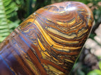 Polished Golden Tigers Eye With Banded Iron Stone Standing Free Forms x 2 From Prieska, South Africa