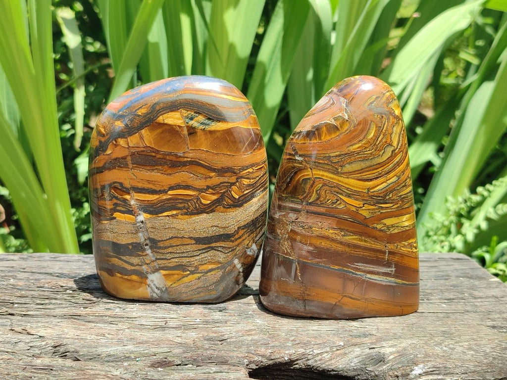 Polished Golden Tigers Eye With Banded Iron Stone Standing Free Forms x 2 From Prieska, South Africa