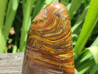 Polished Golden Tigers Eye With Banded Iron Stone Standing Free Forms x 2 From Prieska, South Africa