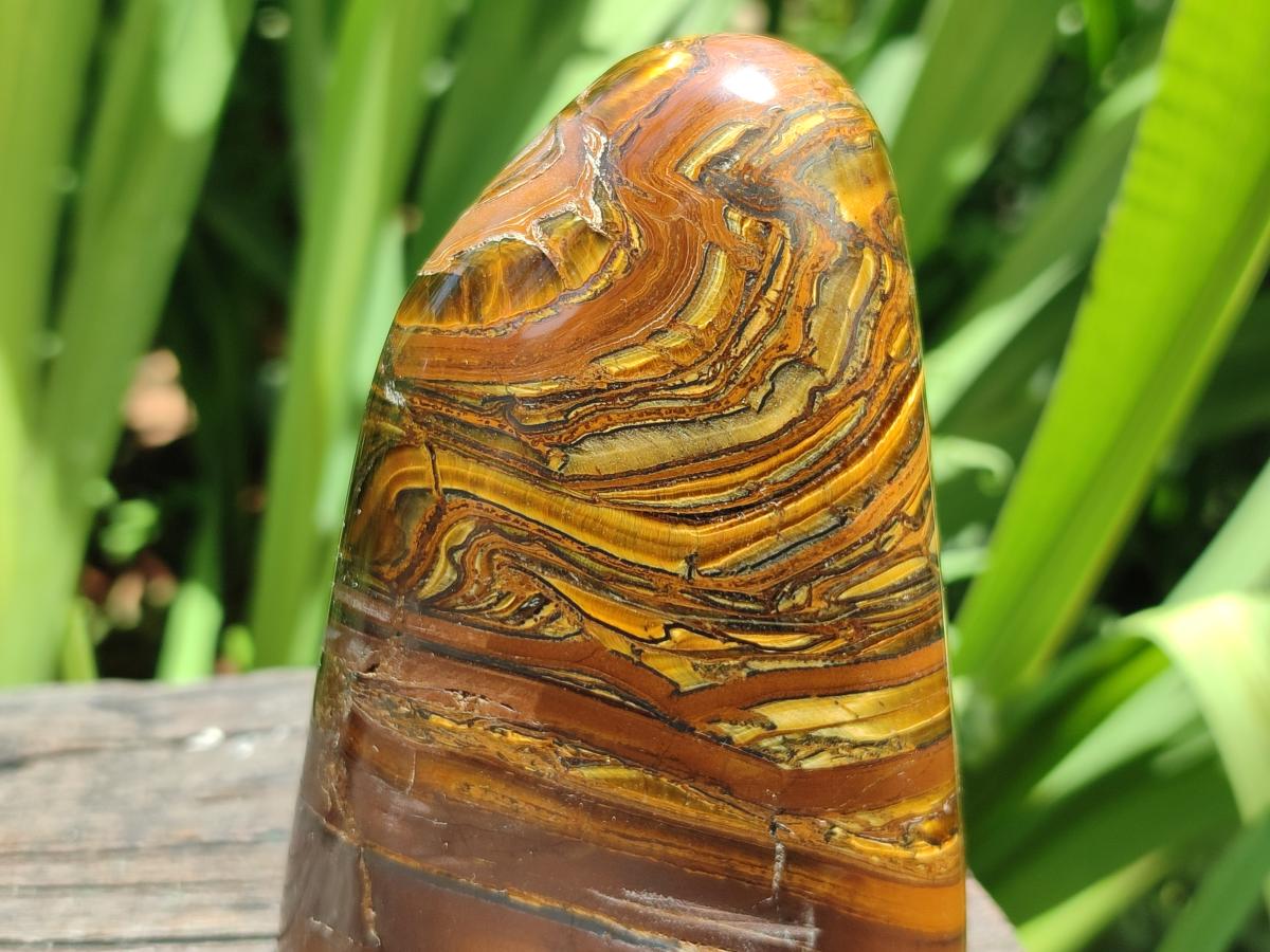 Polished Golden Tigers Eye With Banded Iron Stone Standing Free Forms x 2 From Prieska, South Africa