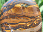 Polished Golden Tigers Eye With Banded Iron Stone Standing Free Forms x 2 From Prieska, South Africa