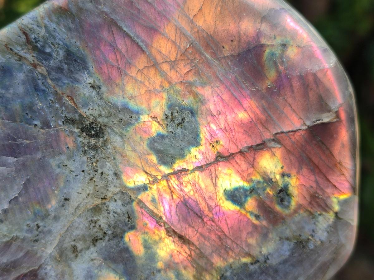 Polished Rare Purple Sunset Flash Labradorite Standing Free Forms x 2 From Madagascar - Toprock Gemstones and Minerals 