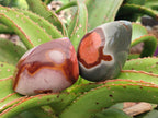 Polished Polychrome Jasper Flames x 6 From Madagascar