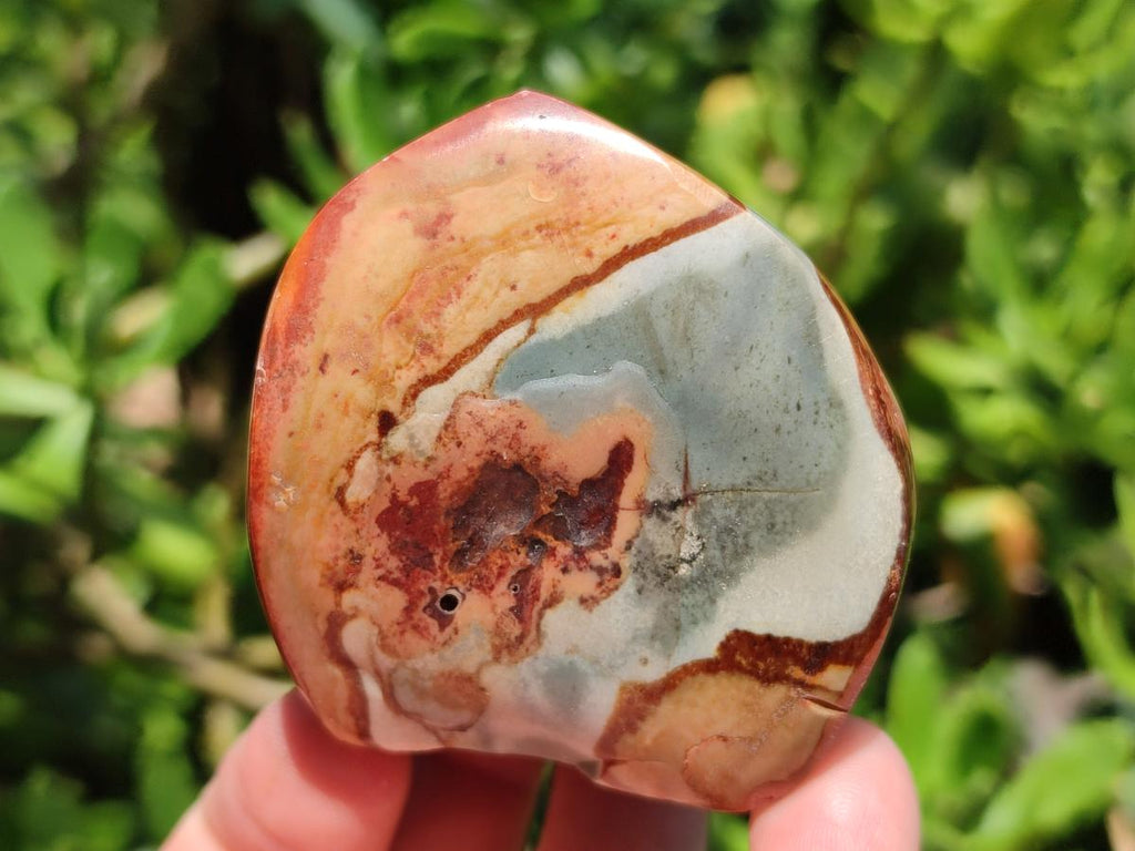 Polished Polychrome Jasper Flames x 6 From Madagascar