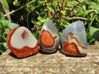 Polished Polychrome Jasper Flames x 6 From Madagascar