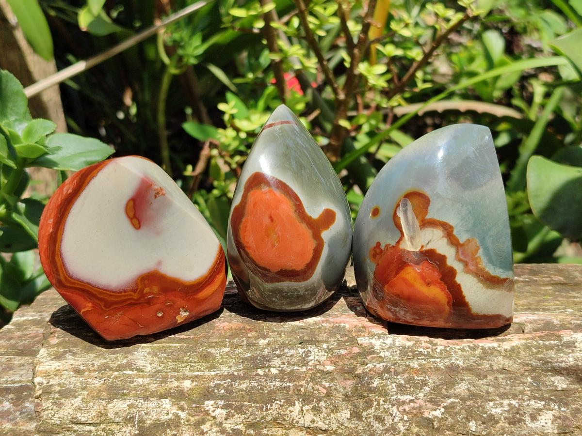 Polished Polychrome Jasper Flames x 6 From Madagascar