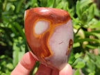 Polished Polychrome Jasper Flames x 6 From Madagascar