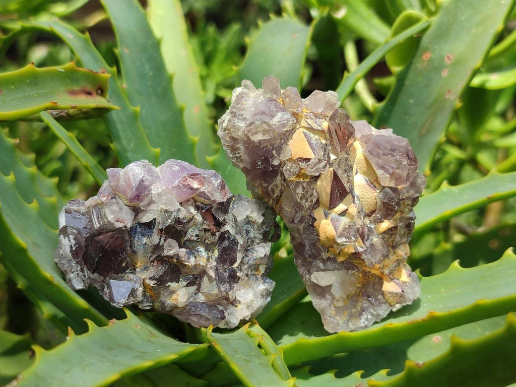 Natural Rare Asylum Quartz Clusters x 12 From Luena, Congo