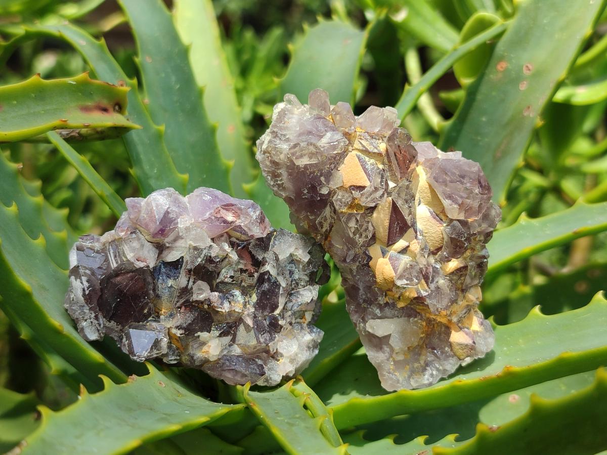 Natural Rare Asylum Quartz Clusters x 12 From Luena, Congo