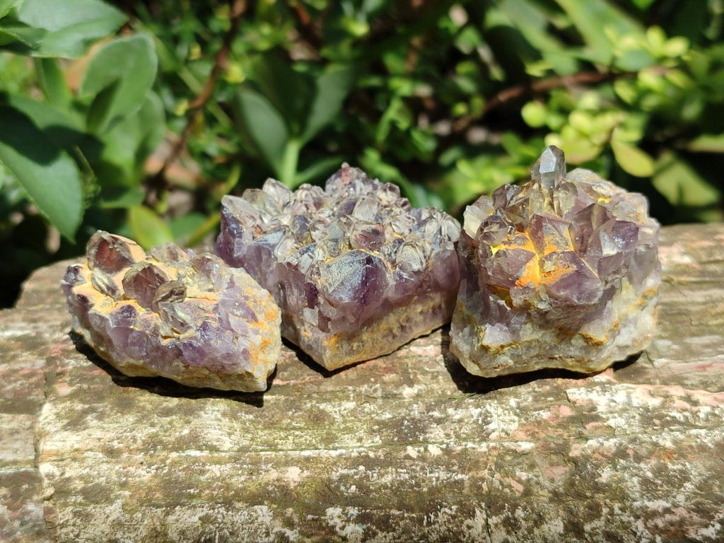 Natural Rare Asylum Quartz Clusters x 12 From Luena, Congo