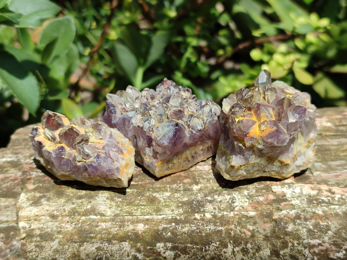 Natural Rare Asylum Quartz Clusters x 12 From Luena, Congo