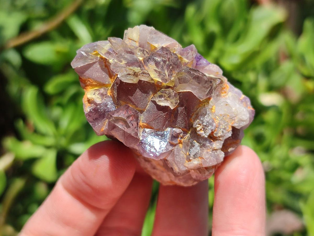 Natural Rare Asylum Quartz Clusters x 12 From Luena, Congo