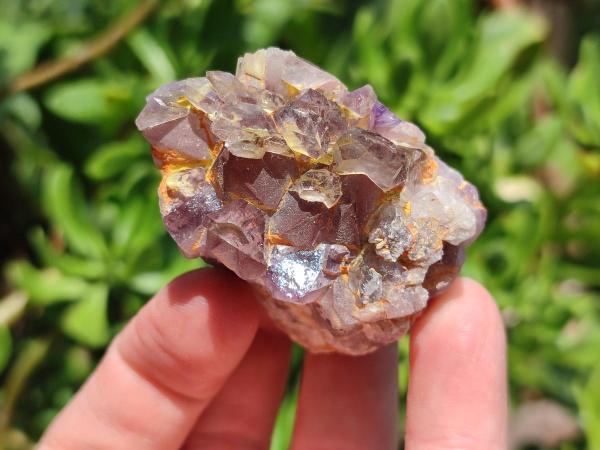 Natural Rare Asylum Quartz Clusters x 12 From Luena, Congo