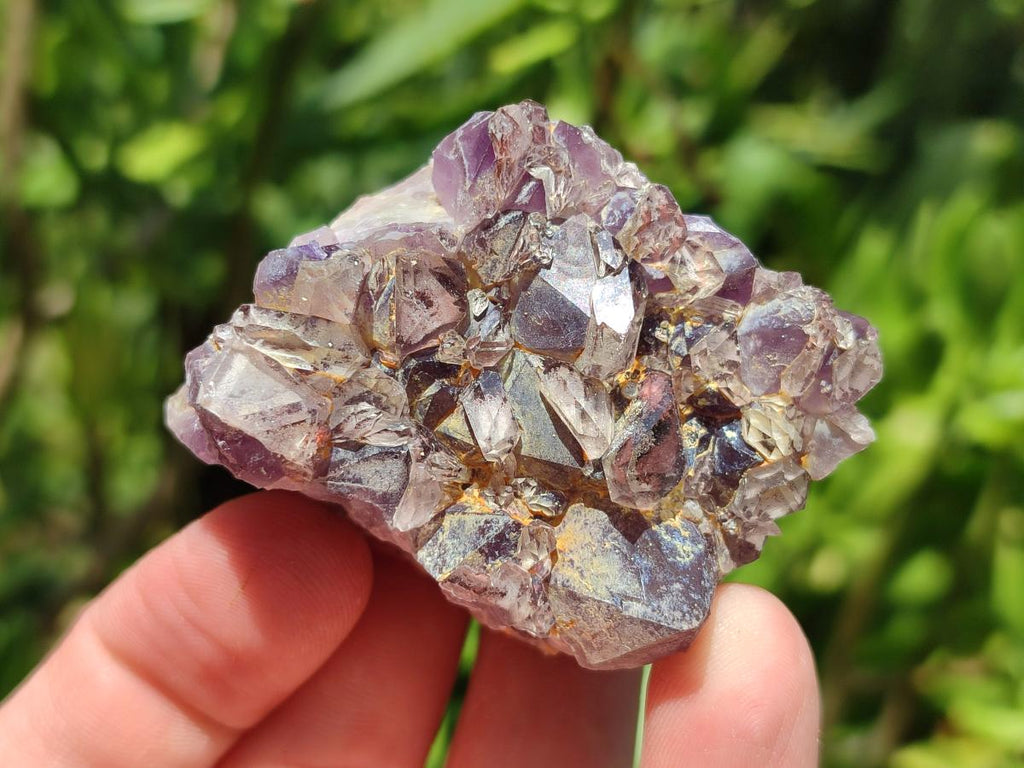 Natural Rare Asylum Quartz Clusters x 12 From Luena, Congo