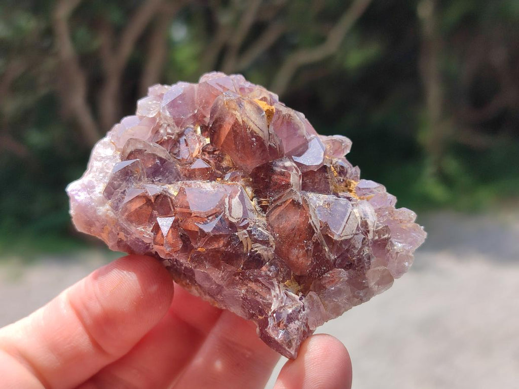 Natural Rare Asylum Quartz Clusters x 12 From Luena, Congo