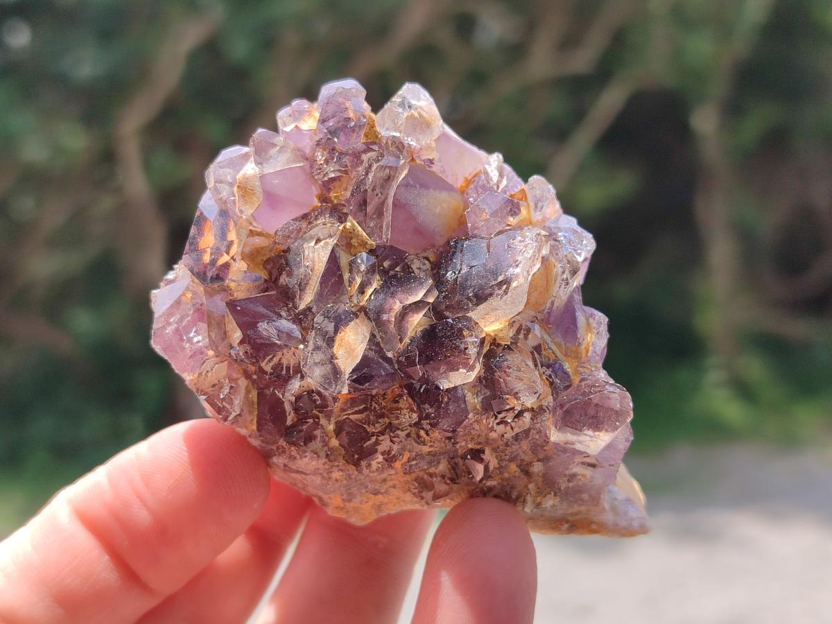 Natural Rare Asylum Quartz Clusters x 12 From Luena, Congo