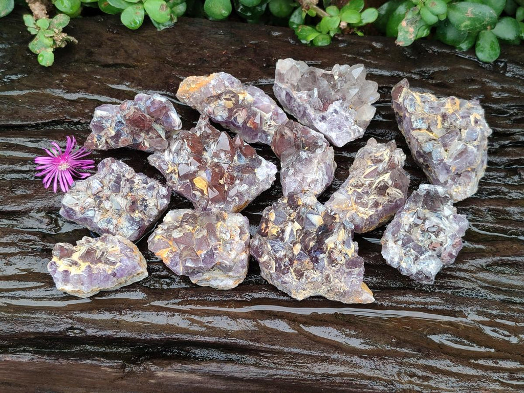 Natural Rare Asylum Quartz Clusters x 12 From Luena, Congo