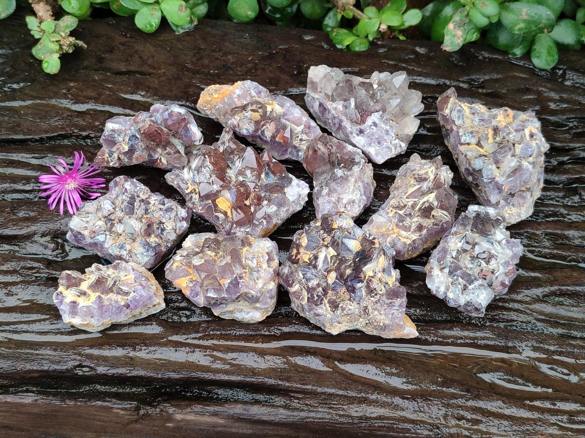 Natural Rare Asylum Quartz Clusters x 12 From Luena, Congo