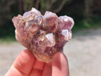 Natural Rare Asylum Quartz Clusters x 12 From Luena, Congo