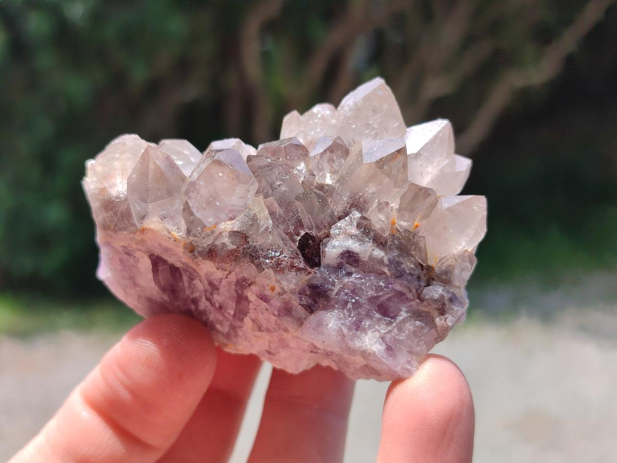 Natural Rare Asylum Quartz Clusters x 12 From Luena, Congo