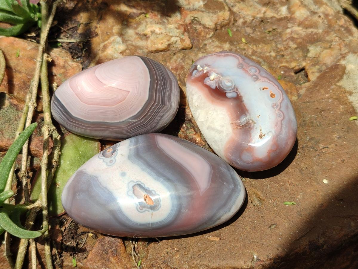 Polished Red Shashe River Agate Galets or Palm Stones x 35 From Shashe River, Zimbabwe