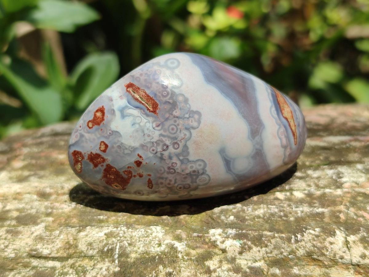 Polished Red Shashe River Agate Galets or Palm Stones x 35 From Shashe River, Zimbabwe