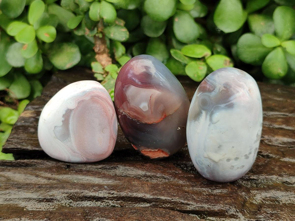Polished Red Shashe River Agate Galets or Palm Stones x 35 From Shashe River, Zimbabwe