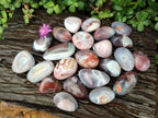Polished Red Shashe River Agate Galets or Palm Stones x 35 From Shashe River, Zimbabwe