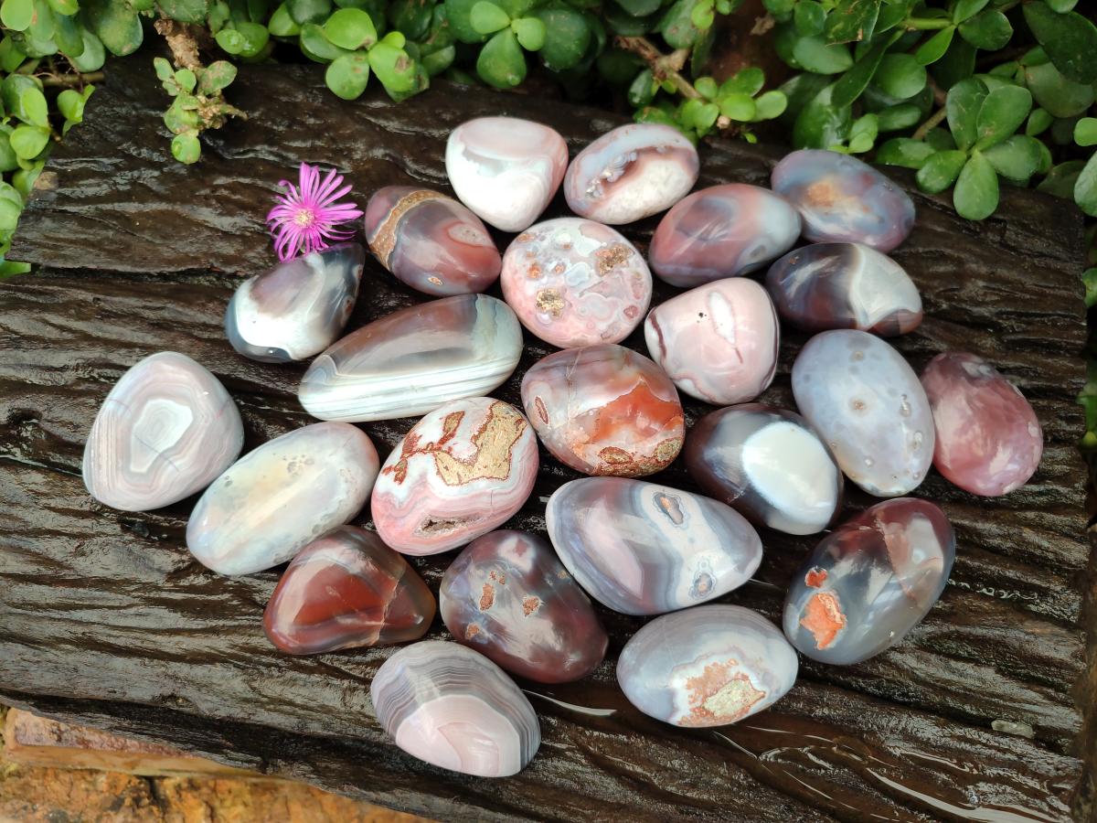 Polished Red Shashe River Agate Galets or Palm Stones x 35 From Shashe River, Zimbabwe