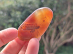 Polished Red Shashe River Agate Galets or Palm Stones x 35 From Shashe River, Zimbabwe