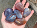 Polished Red Shashe River Agate Galets or Palm Stones x 35 From Shashe River, Zimbabwe