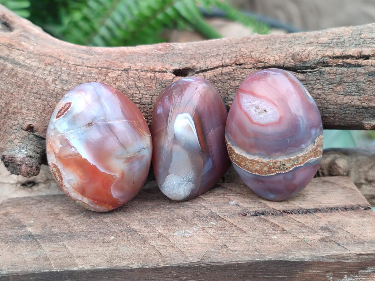 Polished Red Shashe River Agate Galets or Palm Stones x 35 From Shashe River, Zimbabwe