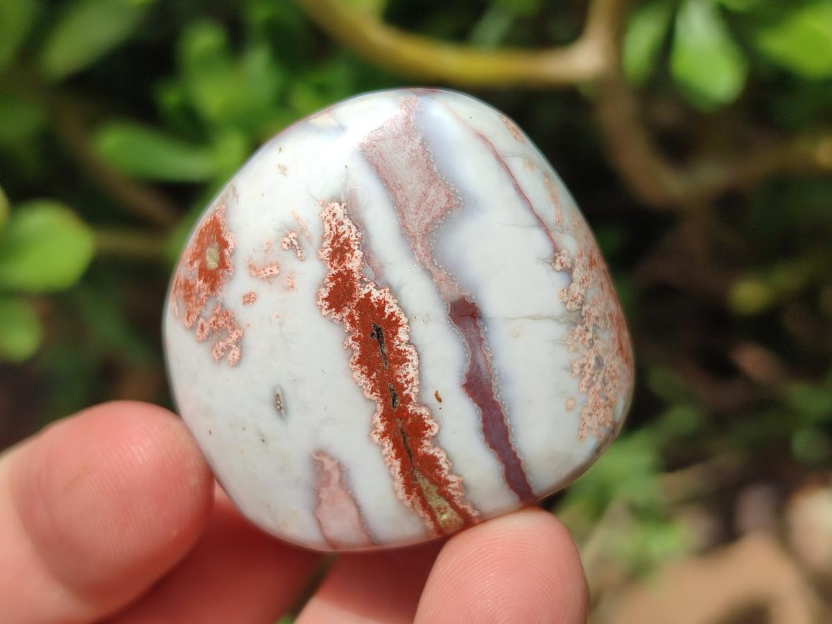 Polished Red Shashe River Agate Galets or Palm Stones x 35 From Shashe River, Zimbabwe