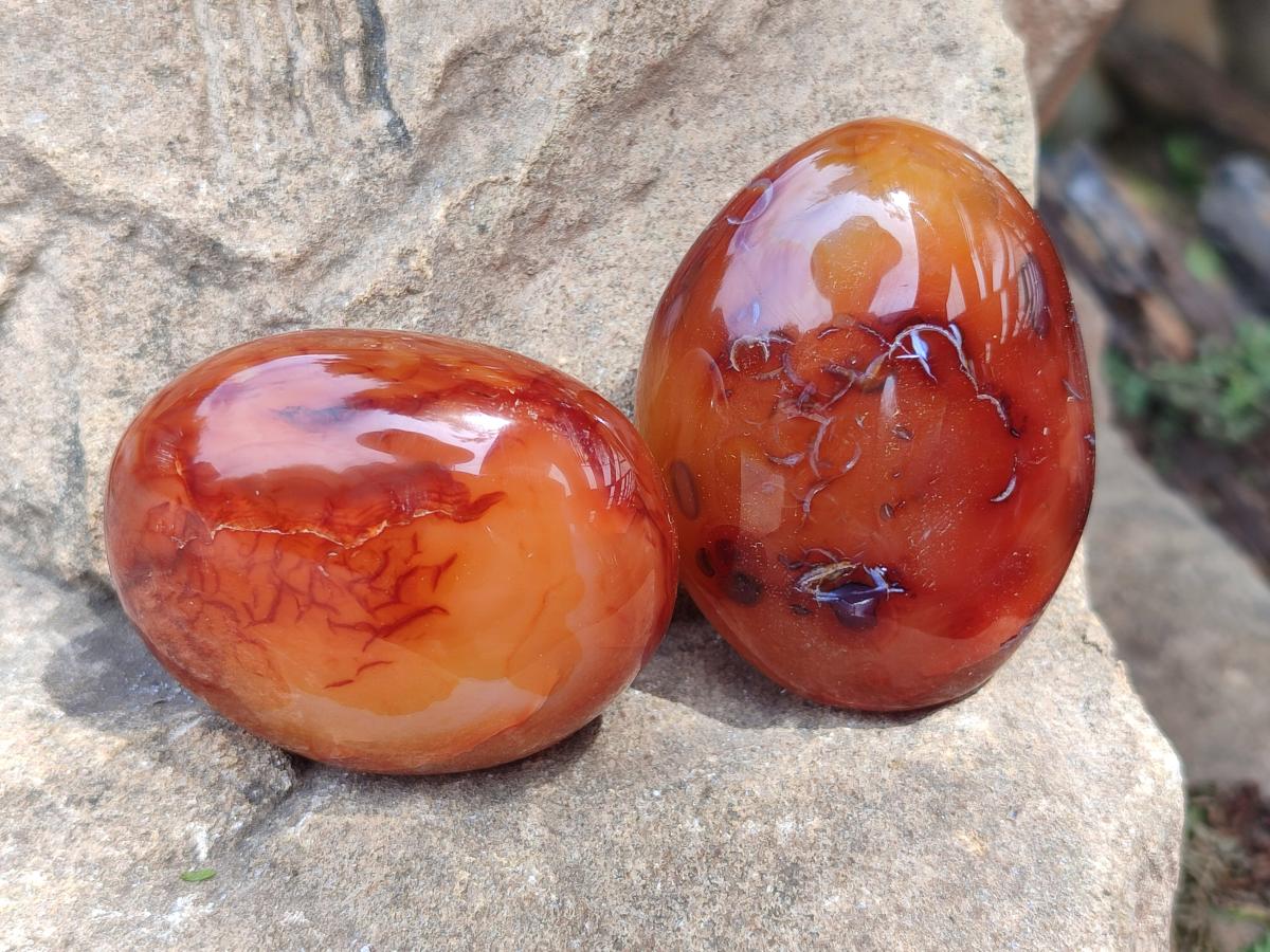 Polished Carnelian Agate Gemstone Galets x 12 From Madagascar