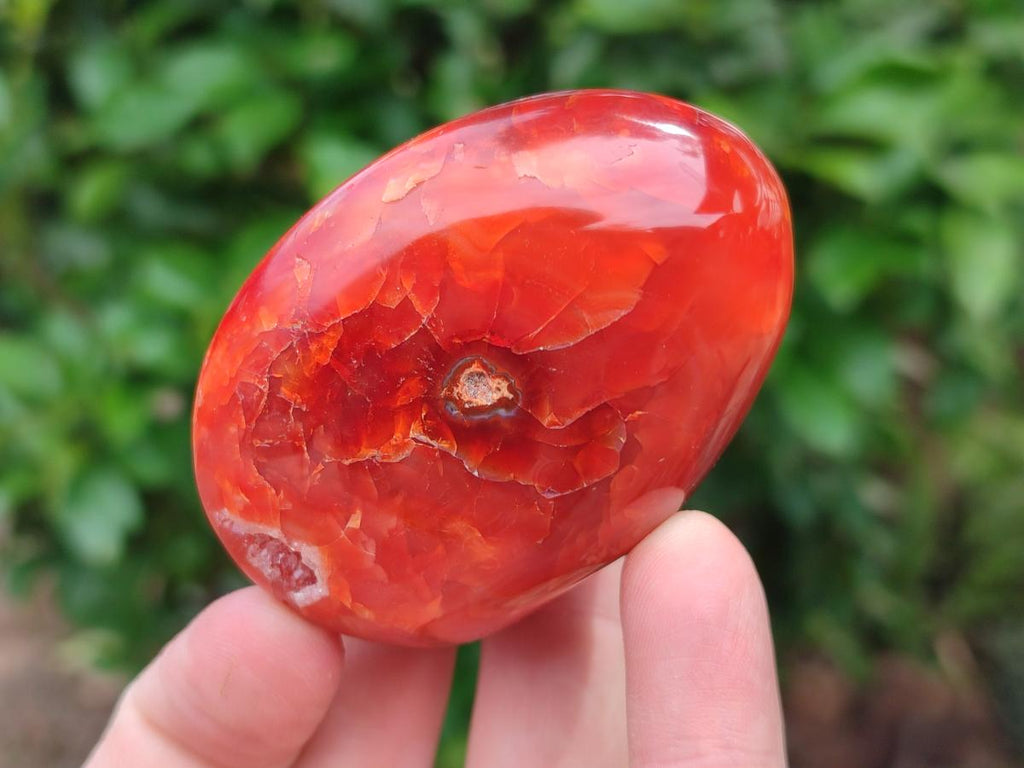 Polished Carnelian Agate Gemstone Galets x 12 From Madagascar