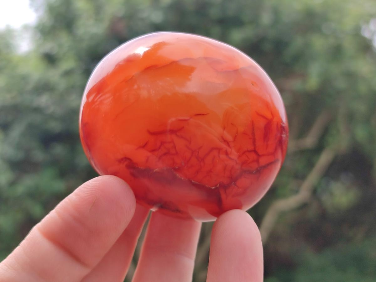 Polished Carnelian Agate Gemstone Galets x 12 From Madagascar