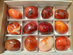 Polished Carnelian Agate Gemstone Galets x 12 From Madagascar