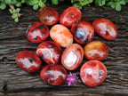 Polished Carnelian Agate Gemstone Galets x 12 From Madagascar