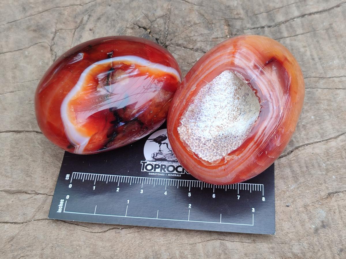 Polished Carnelian Agate Gemstone Galets x 12 From Madagascar