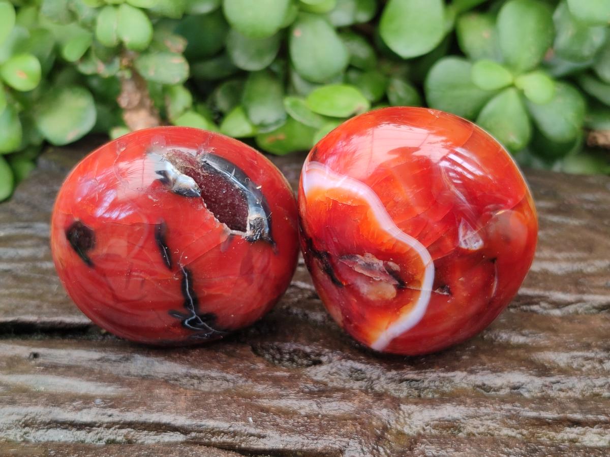 Polished Carnelian Agate Gemstone Galets x 12 From Madagascar
