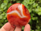 Polished Carnelian Agate Gemstone Galets x 12 From Madagascar