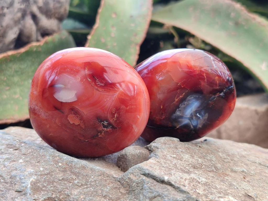 Polished Carnelian Agate Gemstone Galets x 12 From Madagascar