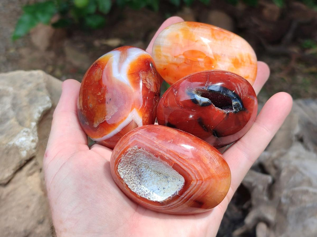Polished Carnelian Agate Gemstone Galets x 12 From Madagascar