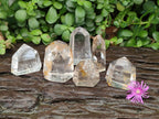 Polished Window Quartz Crystals and Sceptre x 6 From Madagascar