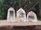 Polished Window Quartz Crystals and Sceptre x 6 From Madagascar