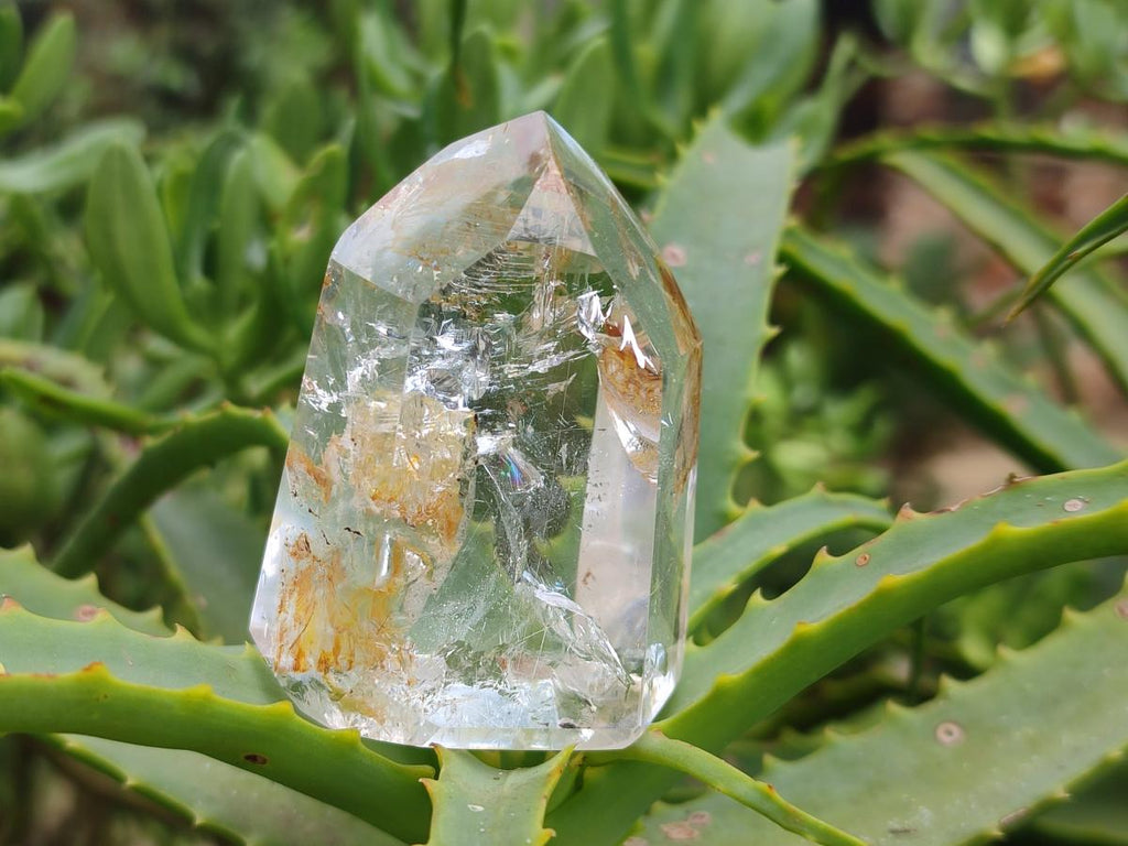 Polished Window Quartz Crystals and Sceptre x 6 From Madagascar