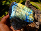 Polished One Side Labradorite Display Pieces x 3 From Madagascar